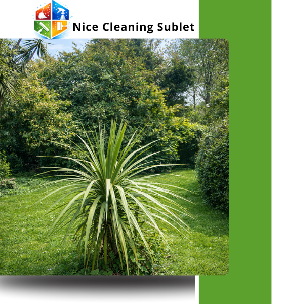 Nice Cleaning Sublet (25)